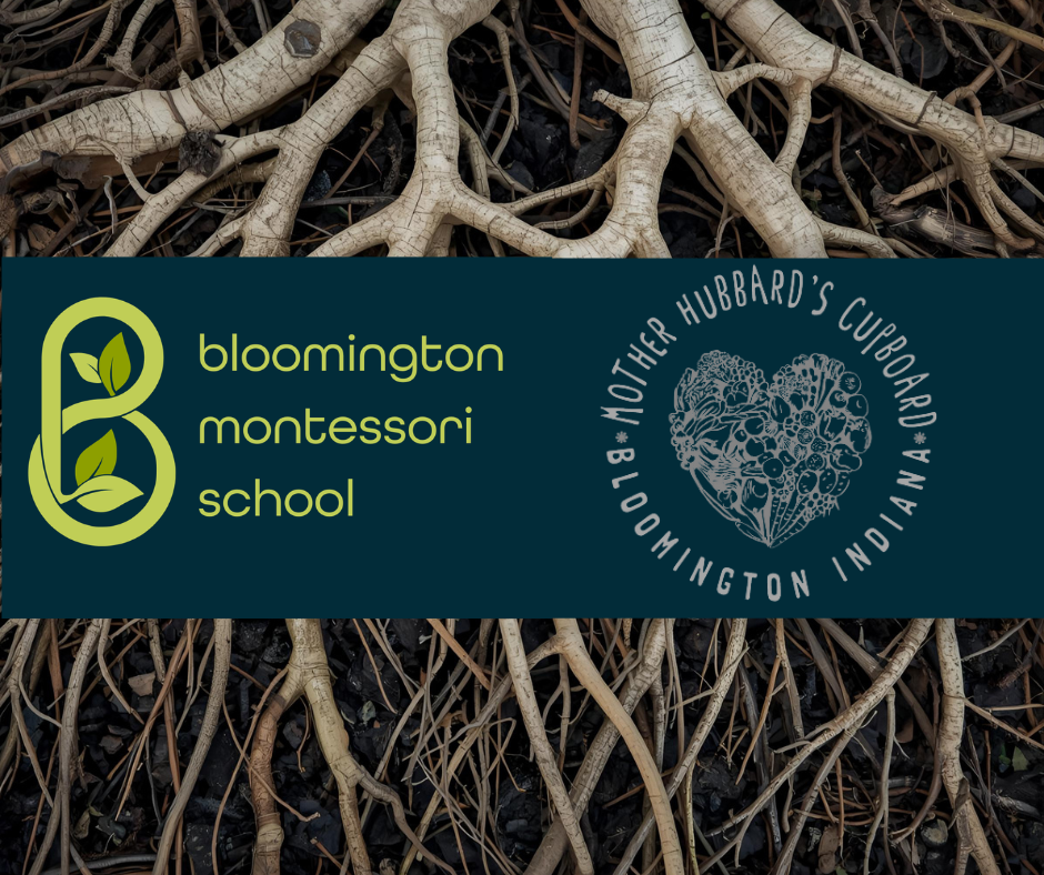 roots behind BMS and Hub logo