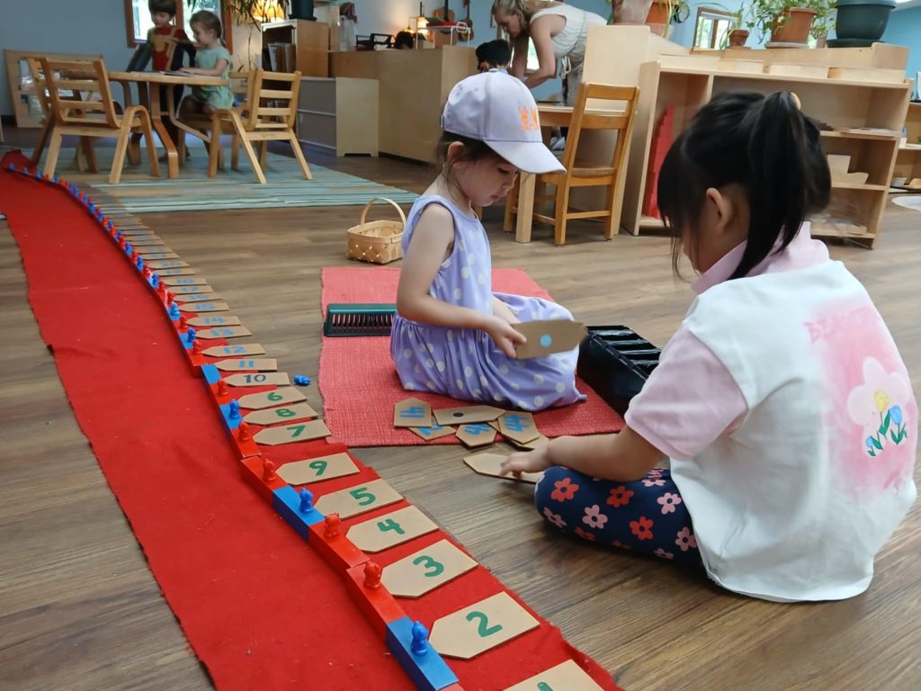 two children doing a counting work with bars and objects in a Montessori early childhood classroom.