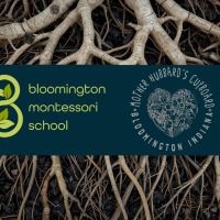 roots behind BMS and Hub logo